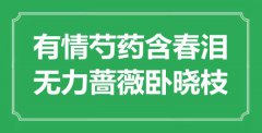 “有情芍藥含春淚，無(wú)力薔薇臥曉枝”是什么意思_出處是哪里