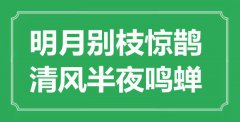 “明月別枝驚鵲，清風(fēng)半夜鳴蟬”是什么意思_出處是哪里