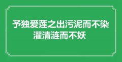 <b>“予獨(dú)愛(ài)蓮之出污泥而不染，濯清漣而不妖”是什么意思_出處是哪里</b>