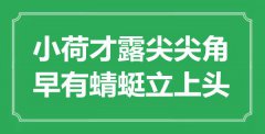 “小荷才露尖尖角，早有蜻蜓立上頭”是