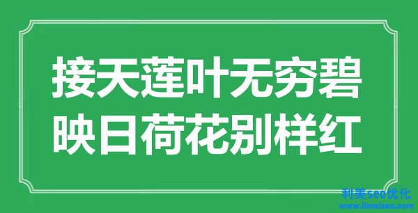 ““接天蓮葉無量碧，映日荷花別樣紅”是什么意思_出處是哪里