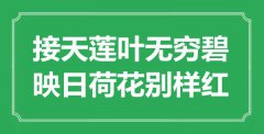 “接天蓮葉無(wú)窮碧，映日荷花別樣紅”是